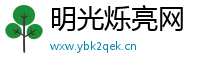 明光烁亮网